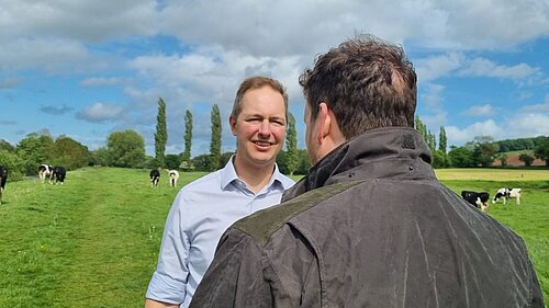 A photo of Richard Foord talking to someone whose back is to the camera, and both people are in a field with cows in the background