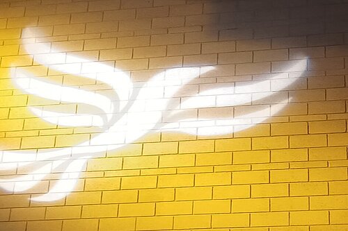 Lib Dem logo bird projected on blockwork