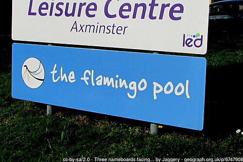 The Flamingo Pool sign